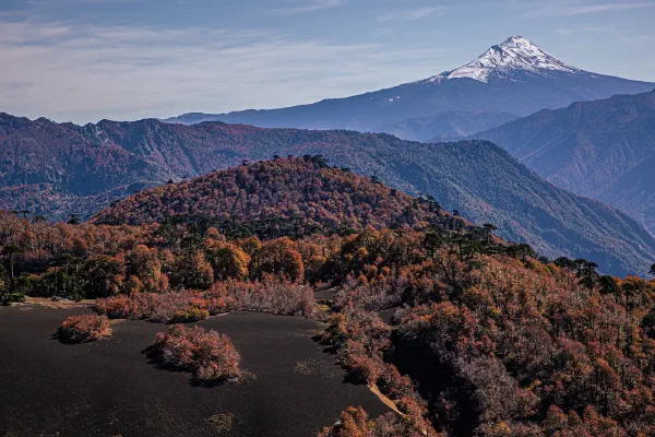 A snow-capped mountain rising above wooded hills.