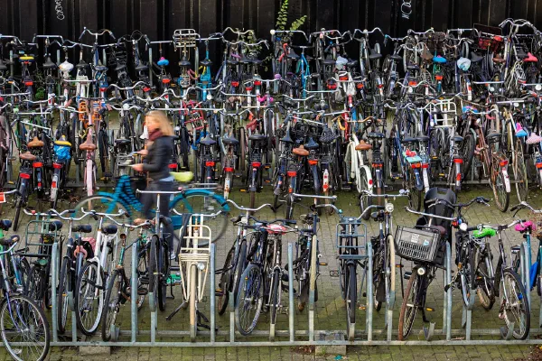 Rows of bicycles parked in a crowded cycle rack.