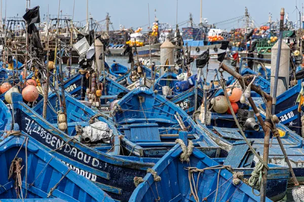 Blue fishing boats packed closely together in a harbour.