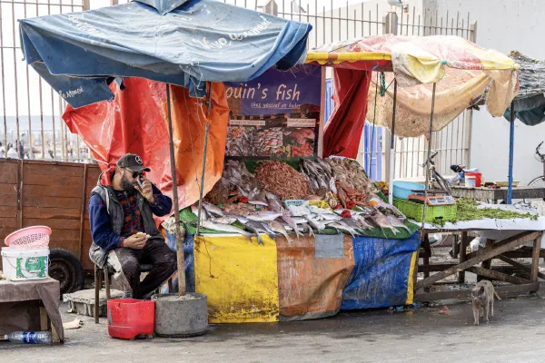 A fish seller beside a stall sheltered by red, yellow and blue canvas.