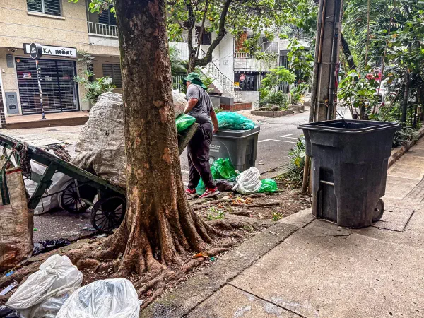 A person working beside a tree and bins on a city pavement.